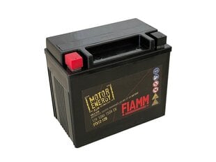 Aku Fiamm Amg, 12 V hind ja info | Akud | kaup24.ee