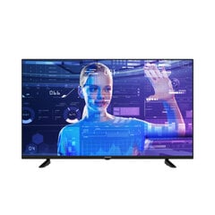 Телевизор Grundig 55GFU7800B 55" Ultra HD 4K LED цена и информация | Телевизоры | kaup24.ee