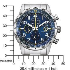 CITIZEN Eco-Drive CA0790-83L CA0790-83L цена и информация | Мужские часы | kaup24.ee