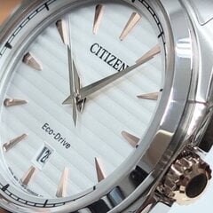 Citizen Eco-Drive AW1756-89A AW1756-89A цена и информация | Мужские часы | kaup24.ee