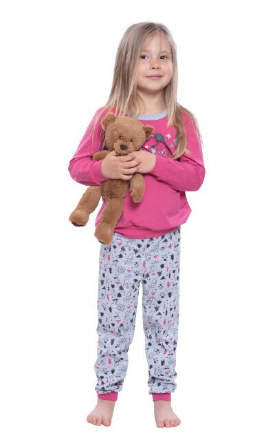 Wadima Laste pikkade varrukatega pidžaamad, roosa/hall hind ja info | Tüdrukute hommikumantlid ja pidžaamad | kaup24.ee