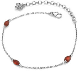 Hot Diamonds Серебряный браслет для родившихся в июле Anais Carnelian AB007 цена и информация | Женские браслеты | kaup24.ee