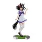 Figuur Banpresto Umamusume Pretty Derby Kitasan, 18 cm hind ja info | Poiste mänguasjad | kaup24.ee