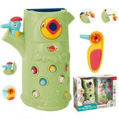 Laste magnetiline mäng "Catch the worm", roheline, Woopie hind ja info | Arendavad mänguasjad | kaup24.ee