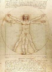 Vitruvian Man Notebook цена и информация | Самоучители | kaup24.ee