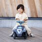 Tõukeauto BIG Bobby Car Classic Eco Rider hind ja info | Imikute mänguasjad | kaup24.ee