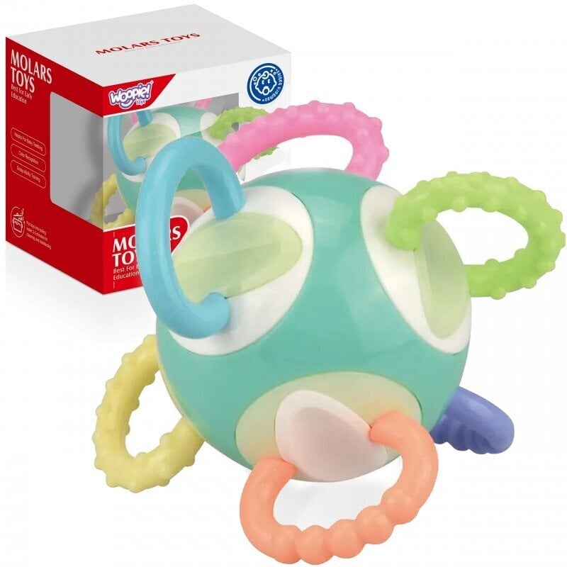 Beebi mänguasi WOOPIE Sensory Toy 2in1 цена и информация | Imikute mänguasjad | kaup24.ee