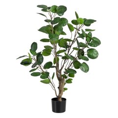 Декоративное растение 80 x 77 x 113 cm Зеленый PVC Aralia цена и информация | Искусственные цветы | kaup24.ee