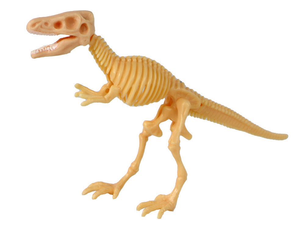 Dinosauruse skelett munas, 9 cm, 1 tk. цена и информация | Poiste mänguasjad | kaup24.ee