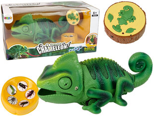 Зеленый хамелеон с дистанционным управлением, 28 см цена и информация | Игрушки для мальчиков | kaup24.ee
