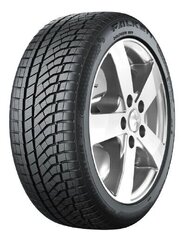 Falken Eurowinter 245/45R18 100V/XL HS02 PRO D B 70 B цена и информация | Зимняя резина | kaup24.ee