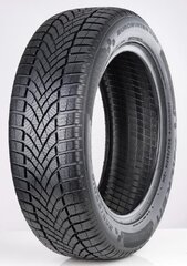 Falken EuroWinter 215/55R17 98V/XL HS02 C B 70 B цена и информация | Зимние шины | kaup24.ee