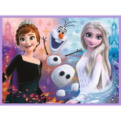 Игра-головоломка Trefl Frozen (Холодное сердце 2), 78 д. цена и информация | Пазлы | kaup24.ee