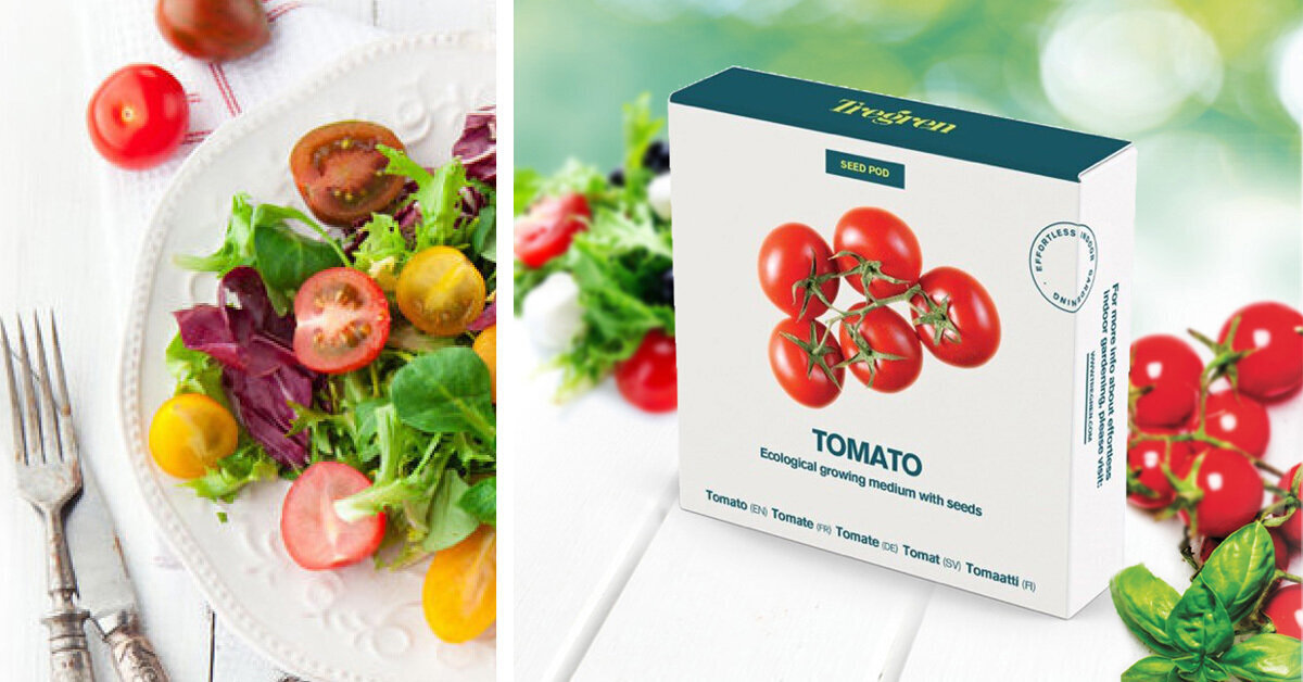 Tomati idandamise komplekt Tregren Cherry Tomato hind ja info | Köögivilja-, marjaseemned | kaup24.ee