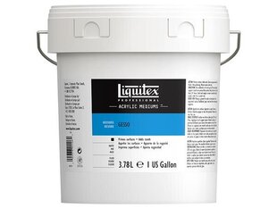 Krunt Liquitex Gesso 3.78l valge hind ja info | Kunstitarbed, voolimise tarvikud | kaup24.ee