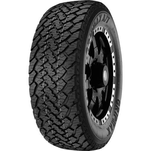 Gripmax A/t 245/65R17 107T цена и информация | Suverehvid | kaup24.ee