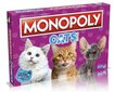 Monopoli kassid hind ja info | Lauamängud ja mõistatused | kaup24.ee