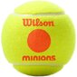 Välitennisepallid Wilson, 3 tk, kollane цена и информация | Välitennise tooted | kaup24.ee