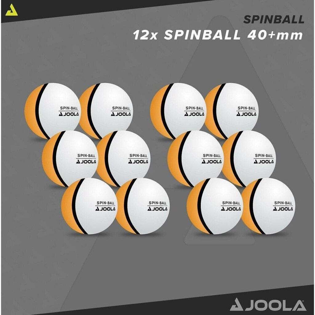 Lauatennise pallide komplekt Joola Spin Ball, 12 tk, valge hind ja info | Lauatennise pallid | kaup24.ee