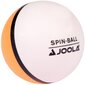 Lauatennise pallide komplekt Joola Spin Ball, 12 tk, valge цена и информация | Lauatennise pallid | kaup24.ee