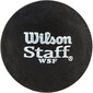 Squash pallid, Wilson Staff, 2 tk hind ja info | Squash | kaup24.ee