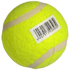 Tennisepall, 6,3 cm, kollane hind ja info | Välitennise tooted | kaup24.ee