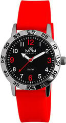 Мужские часы Prim 11224.I цена и информация | Мужские часы | kaup24.ee