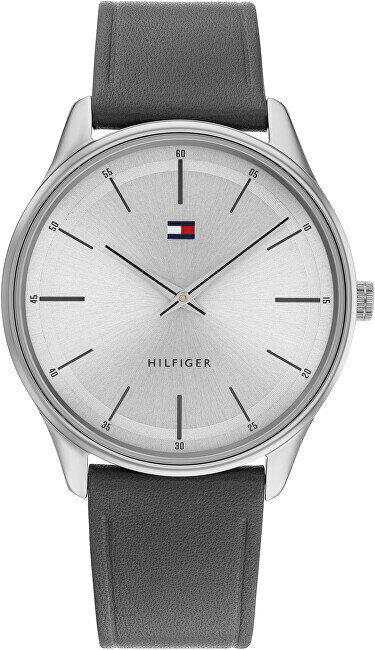 Käekell meestele Tommy Hilfiger 1710465 hind ja info | Meeste käekellad | kaup24.ee