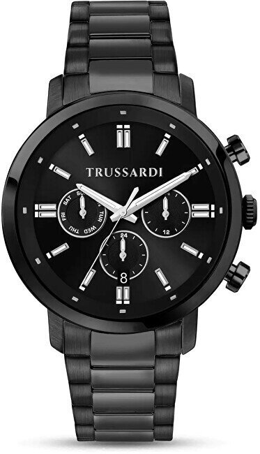 Käekell meestele Trussardi R2453147011 цена и информация | Meeste käekellad | kaup24.ee