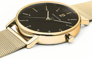 Pierre Lannier Комплект часов и ремешка - Cityline 378B032 цена и информация | Мужские часы | kaup24.ee