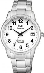 Мужские часы Q&Q SUPERIOR (Ø 40 mm) цена и информация | Мужские часы | kaup24.ee