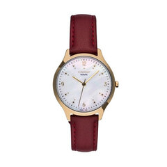 Мужские часы Cauny CMJ008 цена и информация | Мужские часы | kaup24.ee