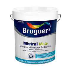 Краска Bruguer Mistral 5586676 Чёрный 750 ml цена и информация | Краска | kaup24.ee