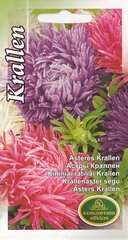 Семена Астры Krallen mix цена и информация | Семена цветов | kaup24.ee