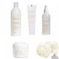 Kosmeetiline kinkekomplekt Ziaja Naturally Care naistele: päeva- ja öökreem, 50 ml + seerum, 30 ml + dušigeel, 400 ml + nahka puhastav toonik, 200 ml hind ja info | Näoõlid, seerumid | kaup24.ee