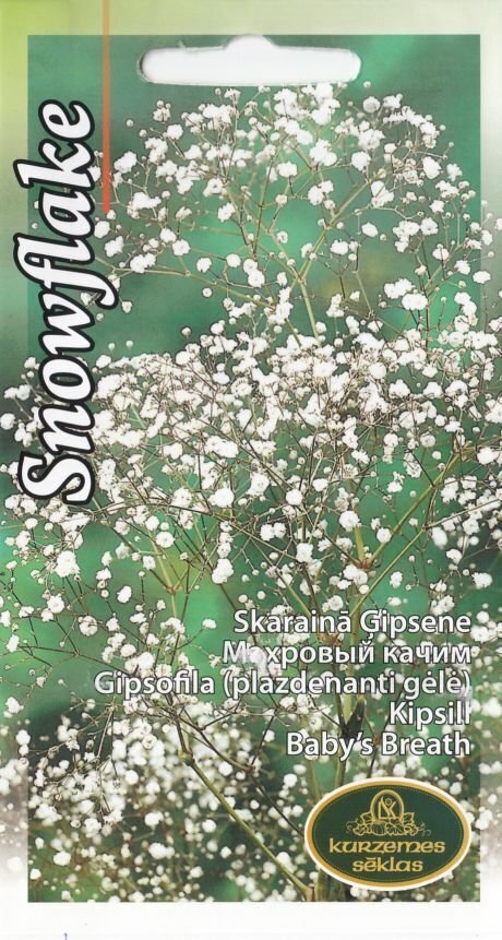 Kipslill Snowflake цена и информация | Lilleseemned | kaup24.ee
