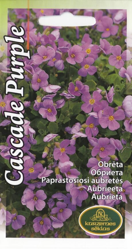 Aedaubrieeta Cascade Purple hind ja info | Lilleseemned | kaup24.ee