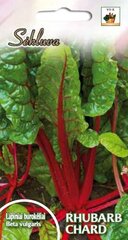 Lehtpeet 'Rhubarb Chard' цена и информация | Семена овощей, ягод | kaup24.ee