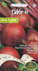 Семена свеклы Pablo H цена и информация | Семена овощей, ягод | kaup24.ee