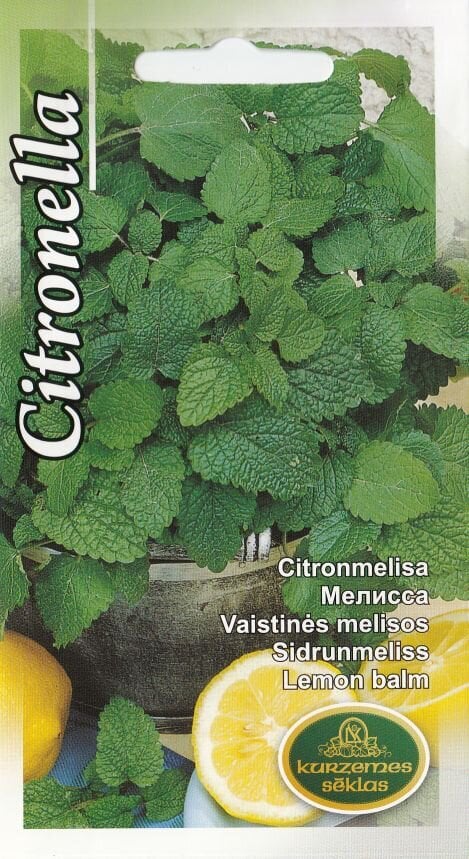 Sidrunimünt Citronella hind ja info | Maitsetaimede seemned | kaup24.ee