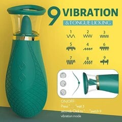 Vibraator kliitorile ja nibudele hind ja info | Vibraatorid | kaup24.ee