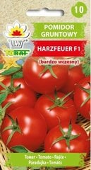 Tomatid Harzfeuer hind ja info | Köögivilja-, marjaseemned | kaup24.ee