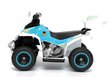 Laste neljarattaline ATV Quad GTS 1188-A, valge hind ja info | Laste elektriautod | kaup24.ee