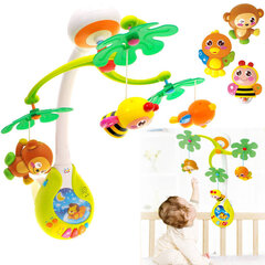 Hola värviline interaktiivne karussell цена и информация | Игрушки для малышей | kaup24.ee