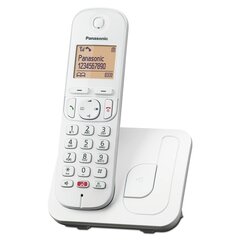 Tелефон Panasonic KXTGC250SPW Белый цена и информация | Стационарные телефоны | kaup24.ee
