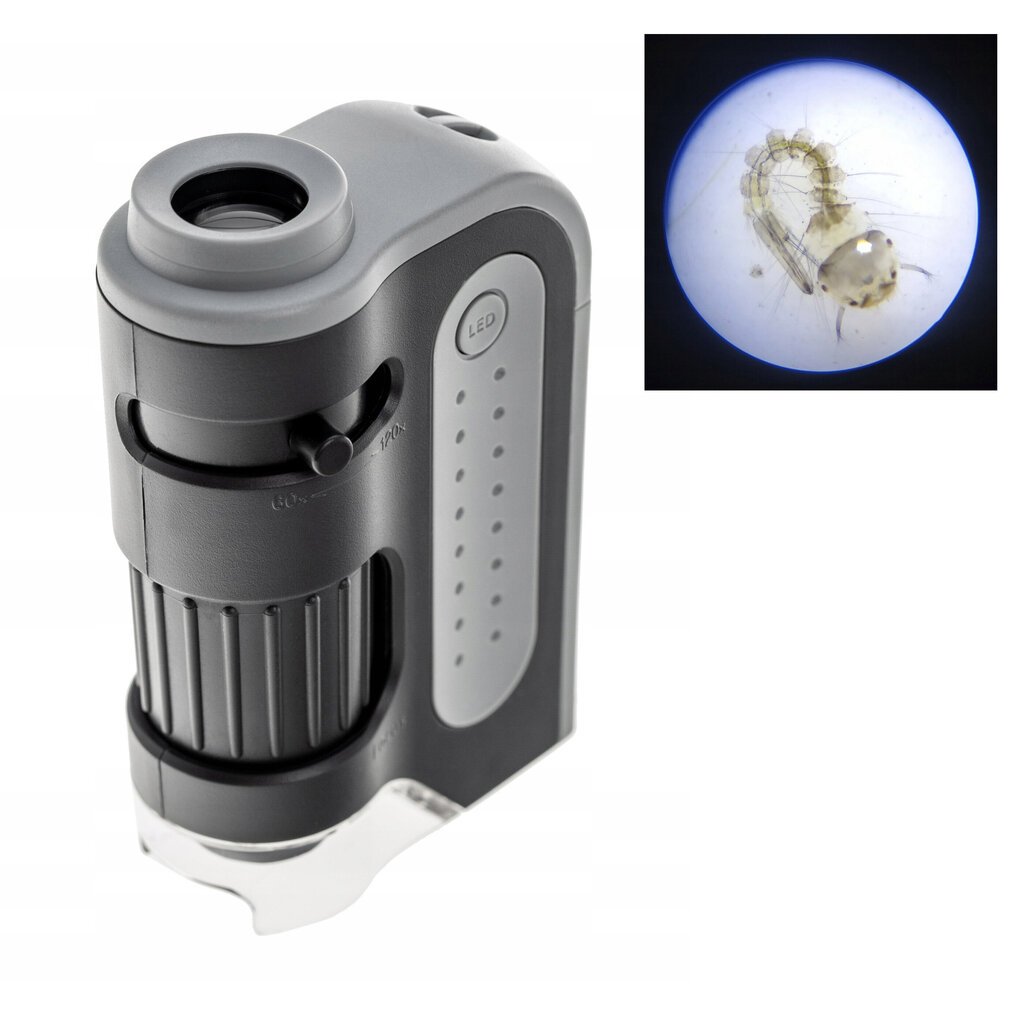 Carson MicroBrite Plus MM-300 цена и информация | Mikroskoobid ja teleskoobid | kaup24.ee