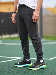 Спортивные брюки для мужчин Sportsman JX6205, серые цена и информация | Мужская спортивная одежда | kaup24.ee