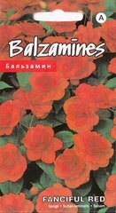 Balsamine Color Parade F2 hind ja info | Köögivilja-, marjaseemned | kaup24.ee