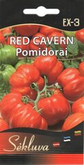 Tomat Red Cavern hind ja info | Köögivilja-, marjaseemned | kaup24.ee