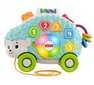 Fisher-Price® sõbralik siil, vene keeles hind ja info | Arendavad mänguasjad | kaup24.ee